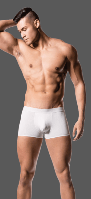 Boxer Underwear - Butt Booster LLC