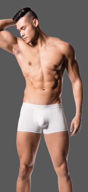 Boxers Butt Booster Underwear Spandex 