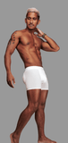 Boxers Butt Booster Underwear Mesh